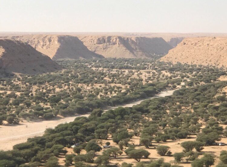 شعيب وثيلان